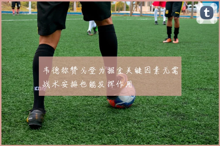 韦德称赞戈登为掘金关键因素无需战术安排也能发挥作用